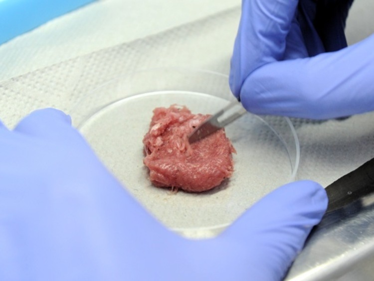 Katar i Leonardo DiCaprio będą produkować mięso z laboratorium